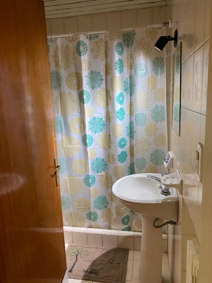 Portillo Apartments メンドーサ エクステリア 写真